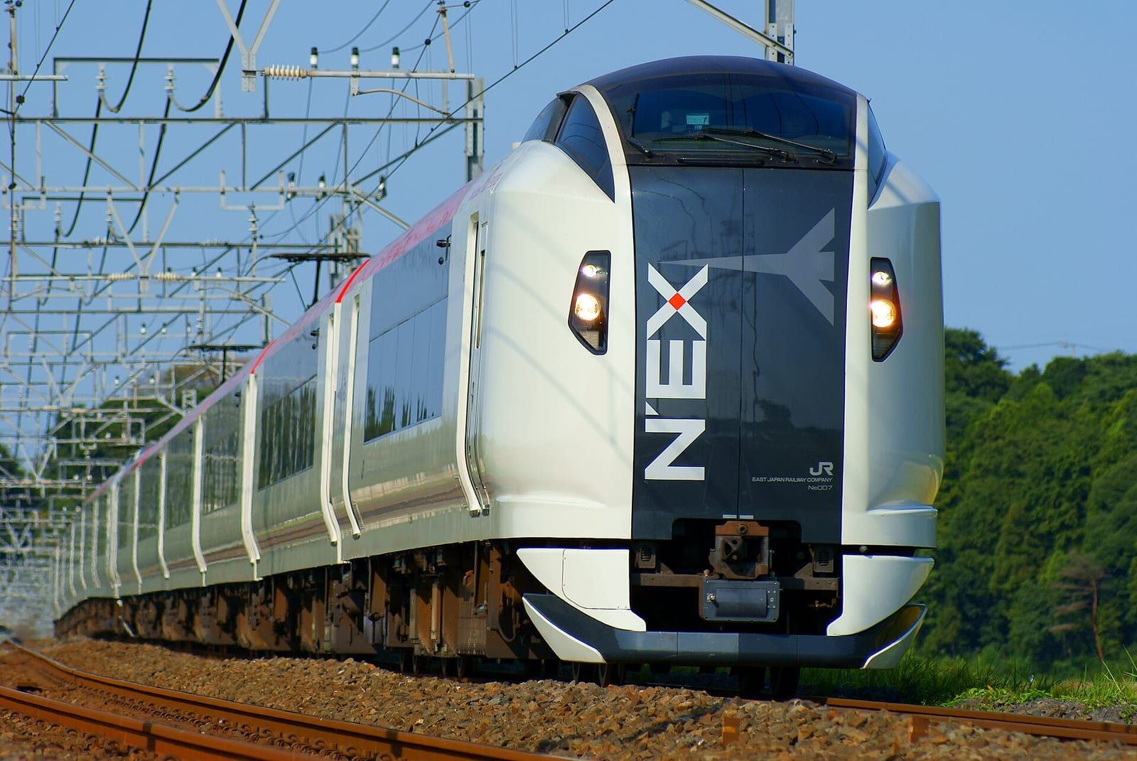 Beyaz ve kırmızı renkli Narita Express treni, mavi gökyüzü ve yeşil ağaçların önünde raylar üzerinde hızla ilerliyor.