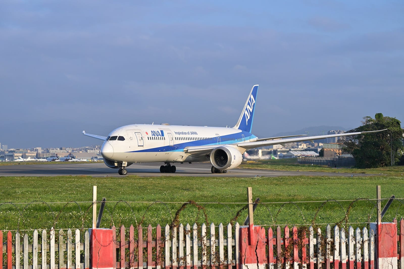 Beyaz-mavi renkli bir ANA Boeing 787 yolcu uçağı, çitlerin ardındaki pistte kalkış için yavaşça ilerliyor ve arkada mavi gökyüzü görünüyor.