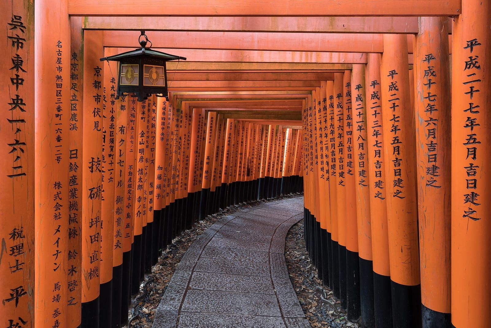 Kyoto'daki Fushimi Inari Taisha'da asılı bir fener ve üzerinde siyah yazıtlar bulunan turuncu torii kapılarıyla çevrili taş döşeli yol.